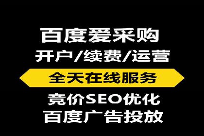 竞价广告的投放策略与效果评估——以一成功企业为例
